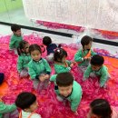 오감토탈미술 이미지