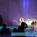 대전주례없는예식 결혼식 대전유성컨벤션 웨딩홀 아도라웨딩 이벤트사회자MC 이미지