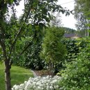 사과나무집 이미지