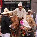 세계 춤 축제가 열리는 천안 에도 "강남스타일" 춤이 인기짱 이네요. 이미지