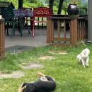 범바위 독채 황토집 이미지