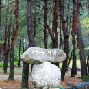 꿈꾸는 계곡 펜션 이미지