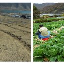 연세농장 이미지