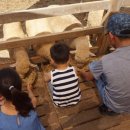 드림농원 이미지