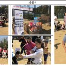 평화2태양광발전소 이미지