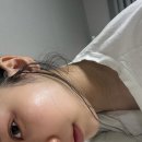 나인레빗