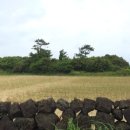 세월보건진료소 이미지