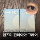 오느른 미 | 렌즈미 꾸안꾸 렌즈 판데이아 그레이 내돈내산 솔직후기 단점 쿨톤 착용사진