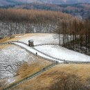 양대목장 이미지