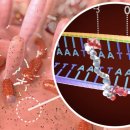 EOS PC ZONE 이미지