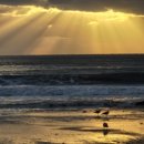 바다노을펜션 | 부안 노을뷰 펜션 추천 겨울바다에서 인생 노을까지 본 후기