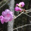 기다리는 마음 이미지