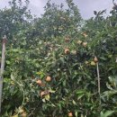 매호농장 이미지