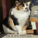 마음의 문 이미지