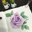 미림칼라 이미지