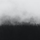 화이트나인 이미지