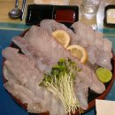 어부바 | 잠실새내 두툼한 횟집 내돈내산 인증 후기 :: 어부바