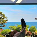 카페더뷰 경주감포