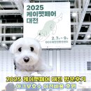 아이러브댕댕 | 2025 케이펫페어 대전 방문 후기 아크보호소 이전비용 모금