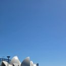 미세스마카롱 - 동해시 청운1길 29 | 보타닉 가든(Royal Botanic Garden Sydney) 방문 후기 오페라하우스 하버브리지 전망과 도심 속 힐링 코스