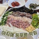 푸른 | 포항현지인맛집 포항 회 맛집 아지매들푸른막회 후기