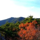 앞산 원기사 - 대덕산 (大德山) 산행기 (대구 달서 ) 이미지