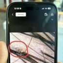 아셀헤어샵 - 충주시 | 아셀헤어샵