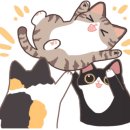 캐터리엔(cattery-n) 이미지