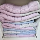 순천만일출펜션 이미지