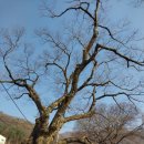 야외정원 스케치 이미지