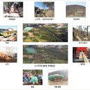 수피나(동두천점) | #소나무재선충병, 방제방법