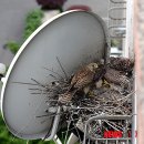 둥지 - 남구 동명로 132 | 둥지