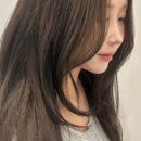 스튜디오1251