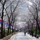 영등포구 신길6동주민센터 이미지