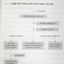 확신의 덫 이미지