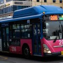 양덕동206 이미지