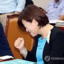 진선미 이미지