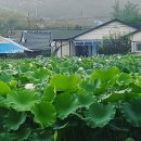 모정 마을회관? 이미지