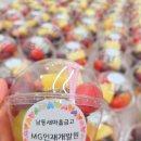 아담하다 이미지