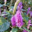 강촌관광농원 이미지