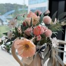 당진시청 | 충남 당진 뷰좋은 카페 투썸플레이스 당진시청점