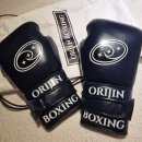 BOXING STORY | [글러브] 갑분 복싱 글러브지만 이쁘지 '오리진복싱'