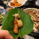 샵(#)돼일리