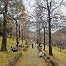 포항 경상북도수목원 방문 후기