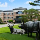 연암축산 이미지