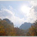 진진토탈 이미지