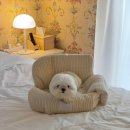 성주이씨 열녀각 | [테디네 숲속 별장] 성주 반려동반 숙소 마운틴뷰가 최고인 곳 🏔️