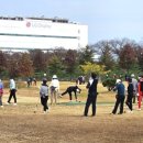 양포파크골프장 이미지