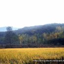 시골풍경 이미지