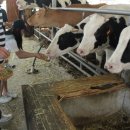 태성목장 이미지